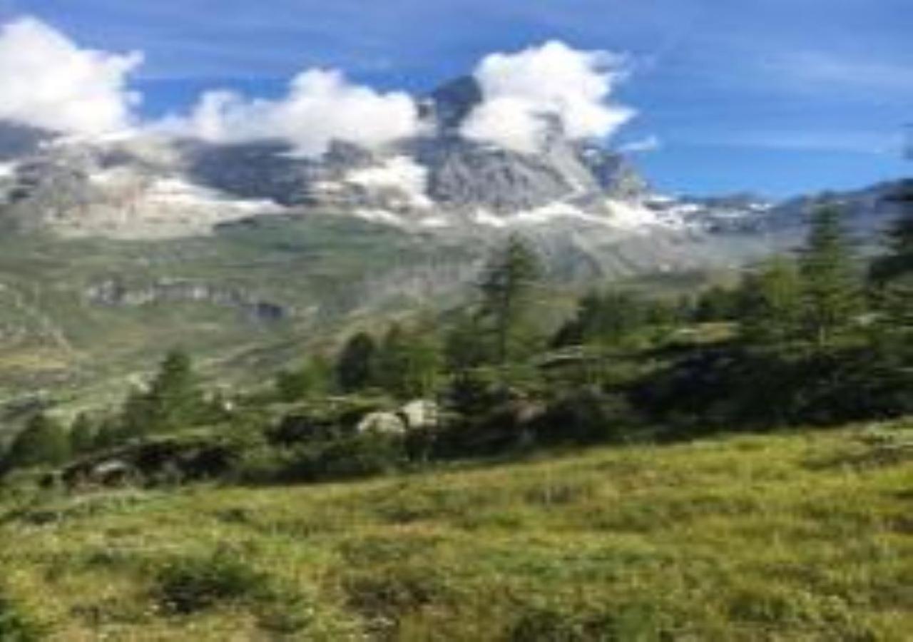 Casa Cervinia Shuss 2 Lägenhet Breuil-Cervinia Exteriör bild