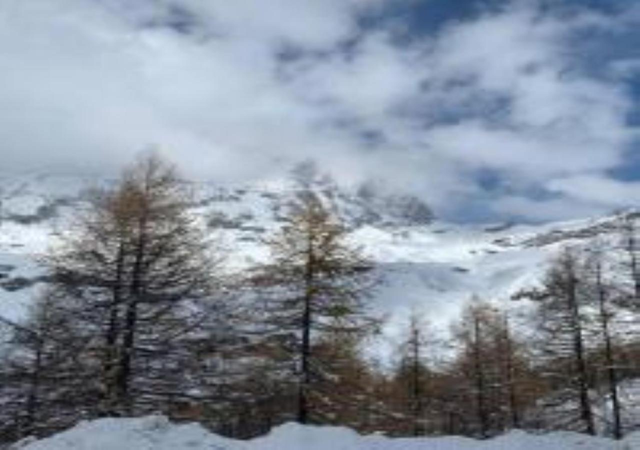 Casa Cervinia Shuss 2 Lägenhet Breuil-Cervinia Exteriör bild
