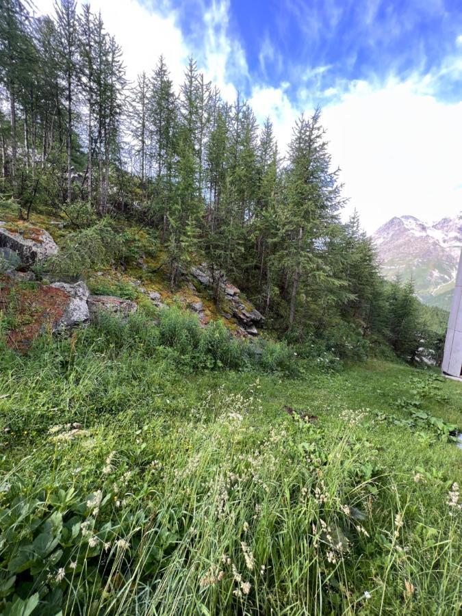 Casa Cervinia Shuss 2 Lägenhet Breuil-Cervinia Exteriör bild
